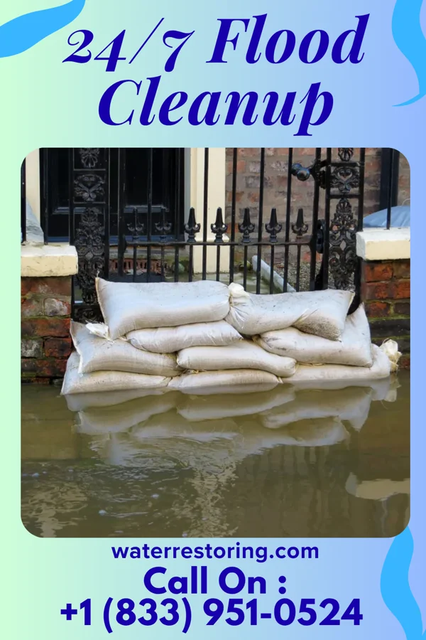 24/7 Flood Cleanup in Brogden, NC