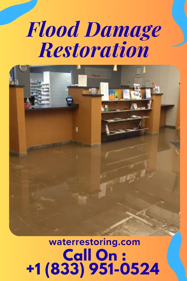 Flood Damage Restoration in Brogden, NC